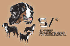 SSV Landesgruppe Sachsen