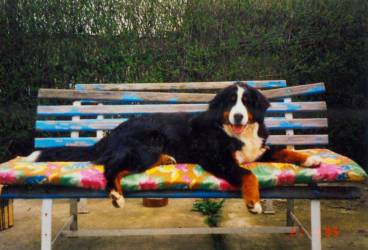 Anka die Relaxte